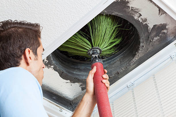 Best Home Air Vent Cleaning  in Grove Hill, AL